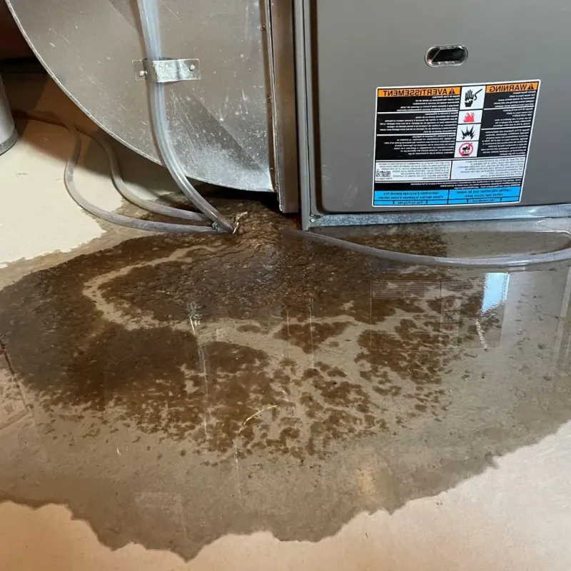 Pipe Burst and Leak Restoration in Spencerville, OH