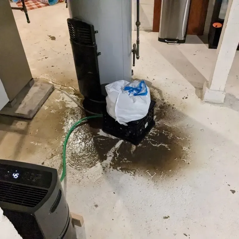 Sewage Backup Cleanup Service in Spencerville, OH